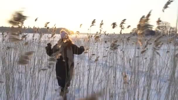 年轻女子与狗走在岸边的芦苇在冰冻的海洋, 湖泊 — 图库视频影像