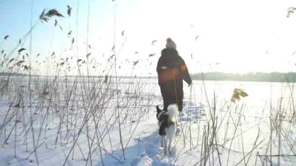Νεαρή γυναίκα με σκύλο που τρέχει στον πάγο από την παγωμένη θάλασσα, λίμνη — Αρχείο Βίντεο