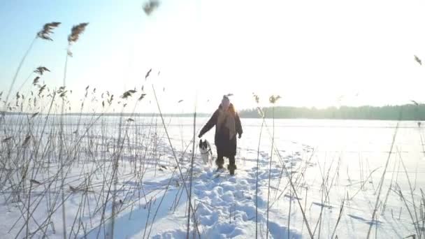 年轻女子与狗走在岸边的芦苇在冰冻的海洋, 湖泊 — 图库视频影像