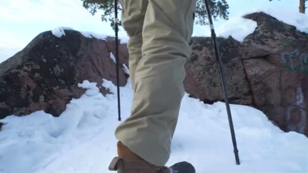 Jóvenes en caminata de invierno en las montañas, mochileros caminando sobre la nieve — Vídeos de Stock