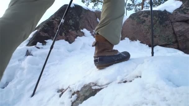 Jovens em caminhada de inverno nas montanhas, mochileiros andando na neve — Vídeo de Stock