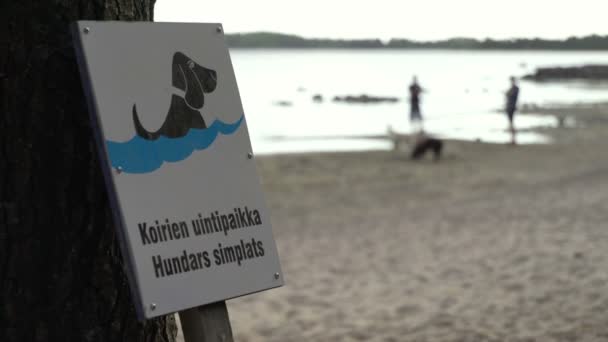 Espoo Finlandiya Haziran 2018 Helsinki Banliyölerinde Yüzme Köpekler Için Özel — Stok video