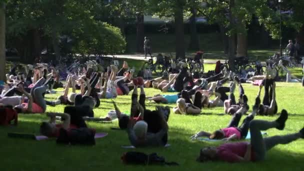Mass aerobics in a public city Park — Stock Video
