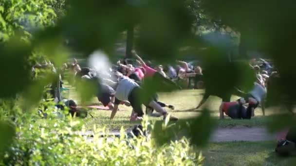 Aérobic de masse dans une ville publique Parc — Video