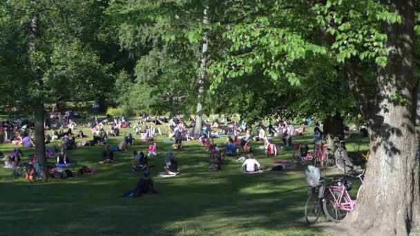 Masové aerobik v veřejné city Park — Stock video