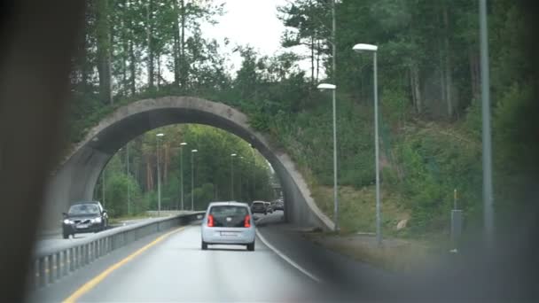 Brug voor wilde dieren boven de weg — Stockvideo