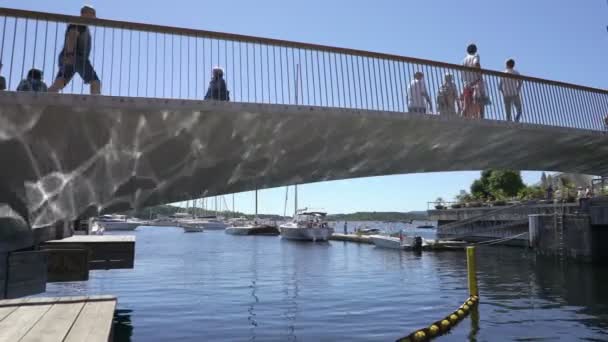Nombreux yachts de luxe et petits bateaux dans le centre d'Oslo dans le quartier branché d'Aker Bruges, Norvège . — Video