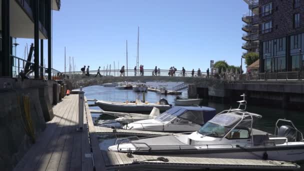 Många lyxbåtar och småbåtar i centrala Oslo i den trendiga stadsdelen Aker Brygge, Norge. — Stockvideo