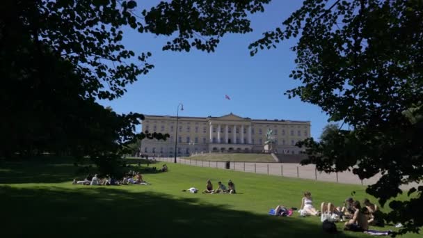 Oslo, Norveç'in başkenti Kraliyet Sarayı — Stok video