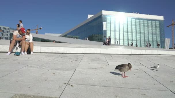 Modern byggnad av Norges nationella Opera House — Stockvideo