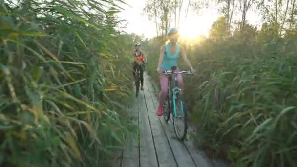 Két nő lovagolni kerékpárok egy fából készült ökológiai nyomvonal nádasai között — Stock videók