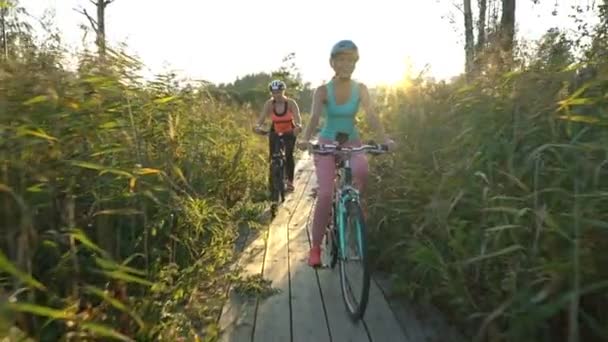 Två kvinnor rida cyklar på en trä ekologiska leden bland vassen — Stockvideo