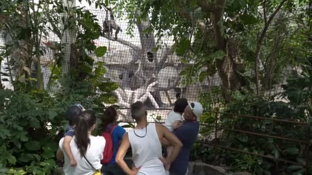 Bezoekers naar de dierentuin in het paviljoen van de apen. — Stockvideo