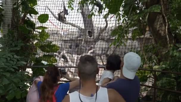 Οι επισκέπτες στο ζωολογικό κήπο στο περίπτερο πιθήκους. — Αρχείο Βίντεο