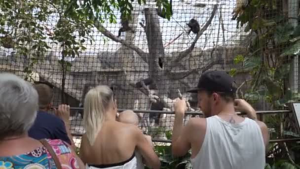 Bezoekers naar de dierentuin in het paviljoen van de apen. — Stockvideo