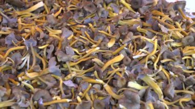 Huni Chanterelles çok üstünde belgili tanımlık sayaç Helsinki sokak pazarının