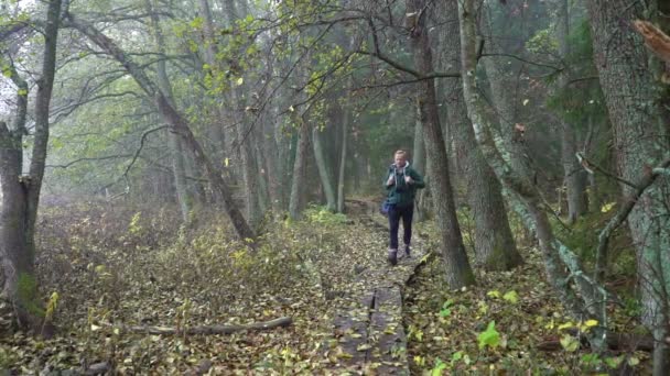 Mann mittleren Alters auf einem ökologischen Lehrpfad durch einen herbstlichen Wald im Naturpark — Stockvideo