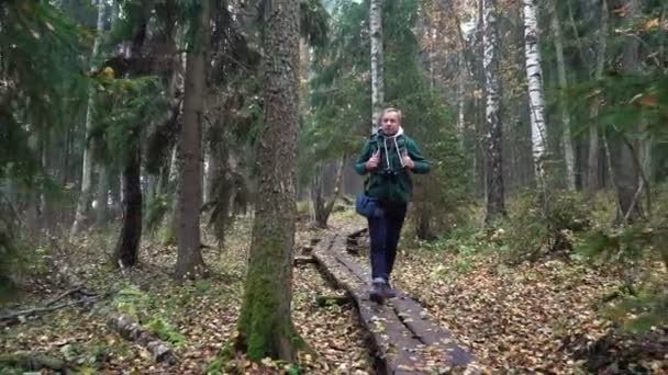 Mellersta åldern man på en ekologisk naturstig genom en höst skog i en naturpark — Stockvideo