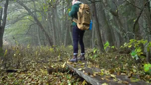 Középkorú férfi egy őszi erdőben, egy természeti parkban az ökológiai tanösvény — Stock videók