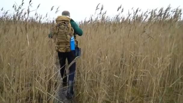 Un homme d'âge moyen avec un sac à dos passe par les roseaux — Video