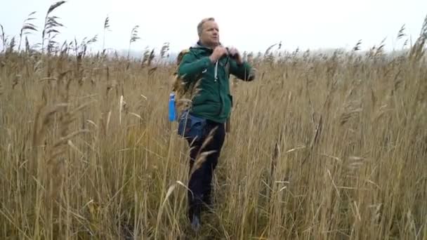 A middle-aged man with a backpack goes through the reeds — Stock Video