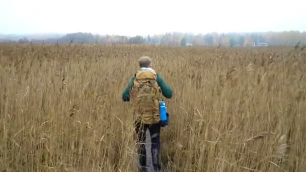 Bir sırt çantası ile orta yaşlı bir adam sazlık gider — Stok video