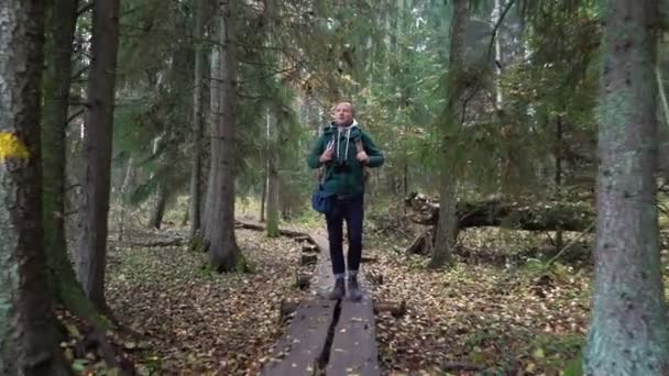 Hombre de mediana edad en un sendero de naturaleza ecológica a través de un bosque de otoño en un parque natural — Vídeos de Stock