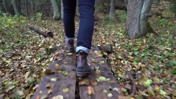 Homem de meia idade em uma trilha ecológica da natureza através de uma floresta de outono em um parque natural — Vídeo de Stock