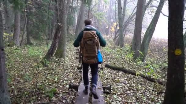 Mann mittleren Alters auf einem ökologischen Lehrpfad durch einen herbstlichen Wald im Naturpark — Stockvideo