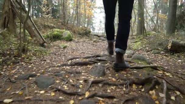 Hombre de mediana edad en un sendero de naturaleza ecológica a través de un bosque de otoño en un parque natural — Vídeo de stock