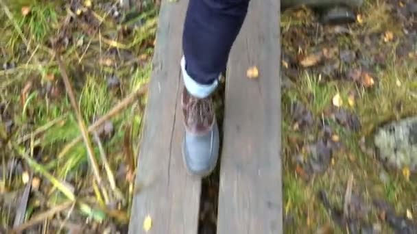 Чоловік, що йде екологічним природним шляхом через північний осінній ліс у природному парку — стокове відео