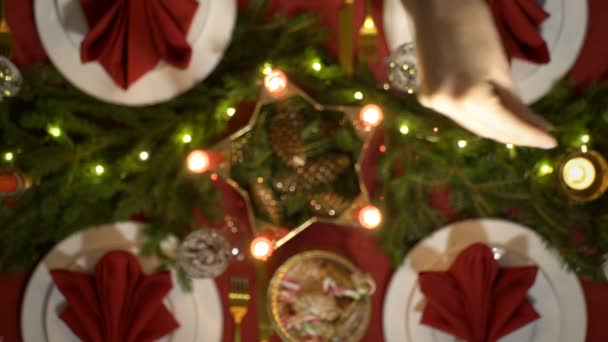 La mano femenina está vertiendo confeti en la mesa de Navidad . — Vídeos de Stock