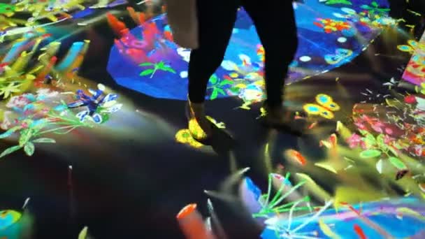 Helsinki Finlandiya Ocak 2019 Chalk46 Sergisi Japon Sanatçıları Teamlab Amos — Stok video