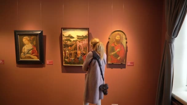 Odwiedzający w Sinebrychoff Art Museum w Helsinki, Finlandia. — Wideo stockowe