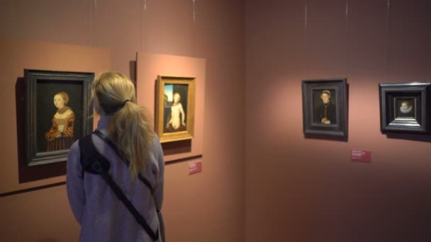 Pengunjung di Museum Seni Sinebrychoff di Helsinki, Finlandia . — Stok Video