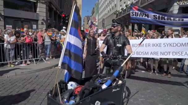 Pride Parade v Oslo Norsko — Stock video