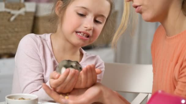Ein kleines Mädchen und ihre Mutter spielen mit einem winzigen Hamster — Stockvideo