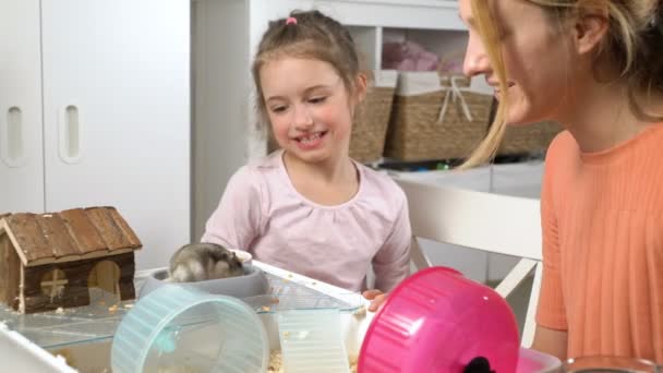 En liten flicka och hennes mamma leker med en liten hamster — Stockvideo