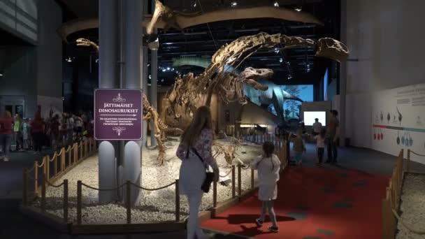 Enfants et adultes voient des os de dinosaures . — Video