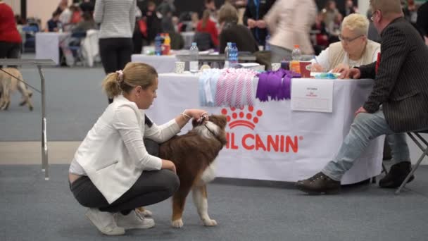 Kedvtelésből tartott állatok tulajdonosai és kutyájuk egy kiállításon — Stock videók