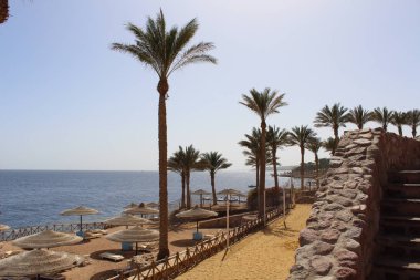 Mısır'ın Kızıldeniz kıyısında