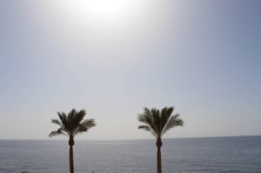 avuç içi ve bungalow hotel Hurghada, Mısır