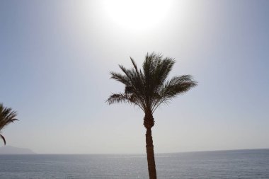 avuç içi ve bungalow hotel Hurghada, Mısır