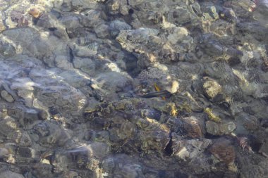 Mavi su dokusu dalgasını kapat