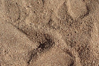 Mısır, Güneş'in ülke toprak toprak