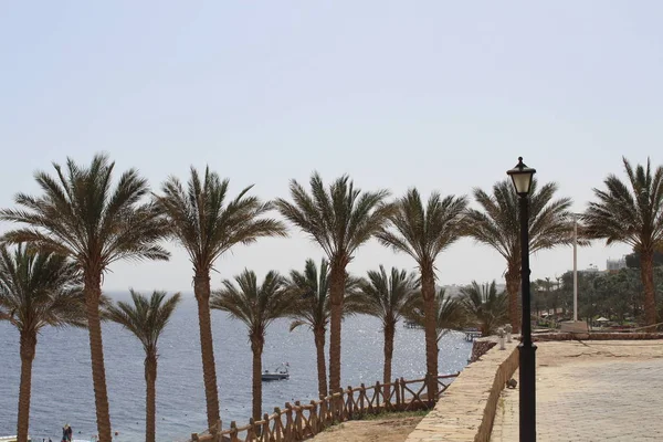 Okolí Hotelu Sharm Sheikh — Stock fotografie