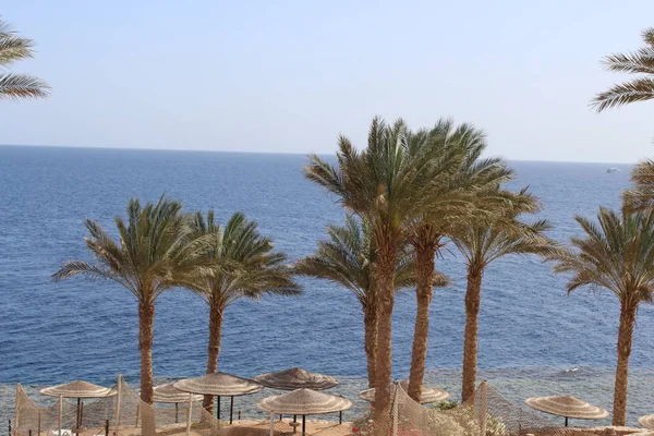 Берег Красного Моря Египте — стоковое фото
