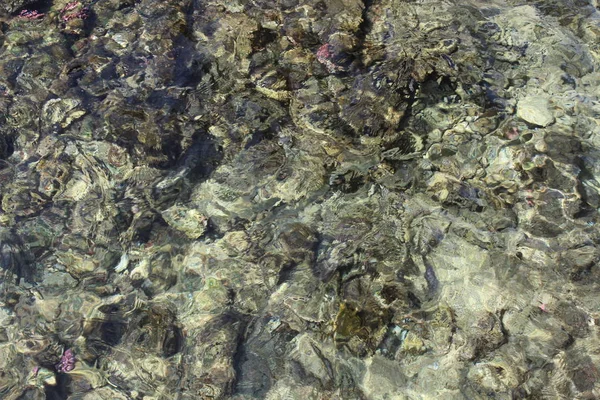 Морской Фон Великолепное Морское Дно Сквозь Прозрачную Голубую Воду Величественный — стоковое фото