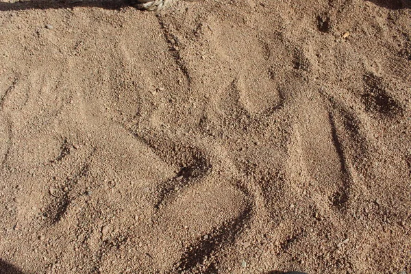 エジプト 太陽の国で土壌の土壌 — ストック写真