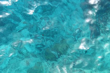 Kızıldeniz, dünyanın en saf